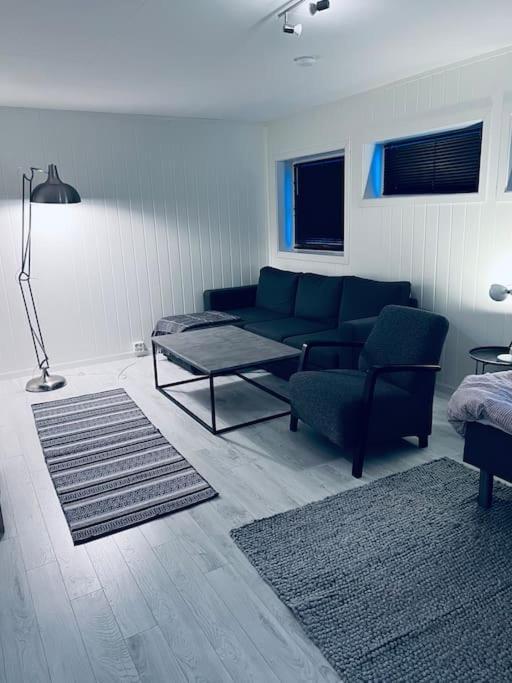 Holiday Home With Sauna In The Arctic Caribbean, 特罗姆瑟 外观 照片