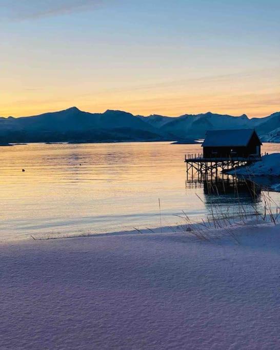 Holiday Home With Sauna In The Arctic Caribbean, 特罗姆瑟 外观 照片
